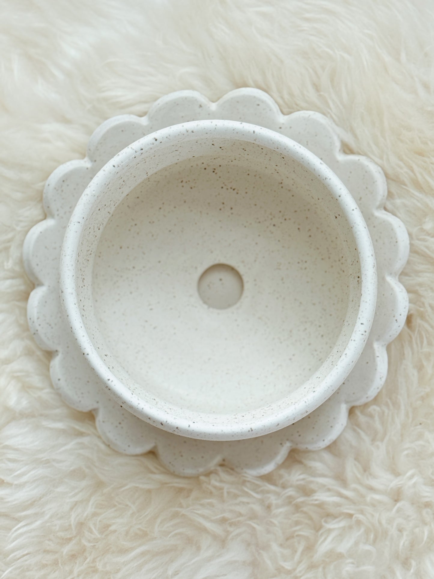 19 | Planter + Petal Plate Set
