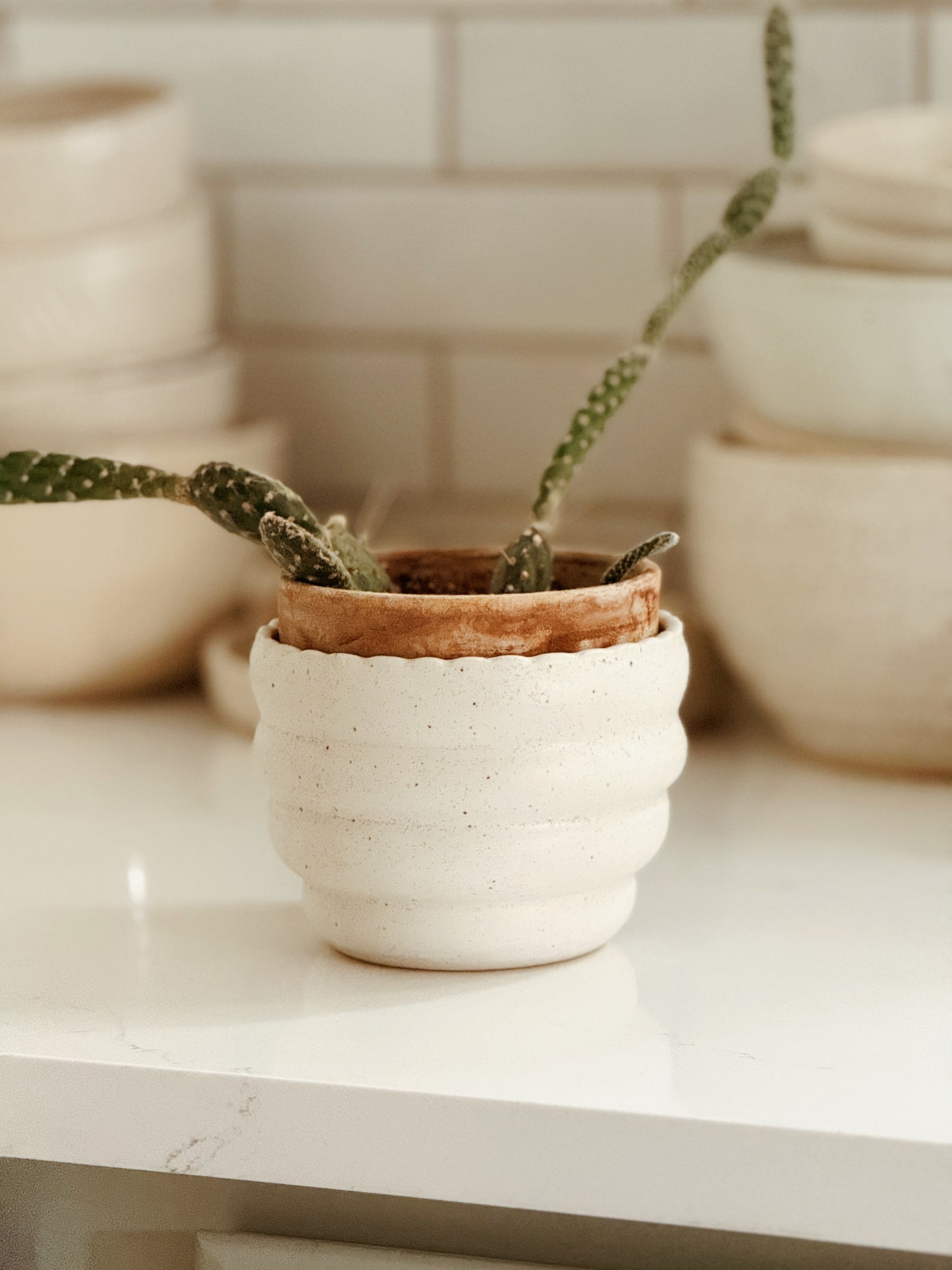 No. 18 | Bubble Planter