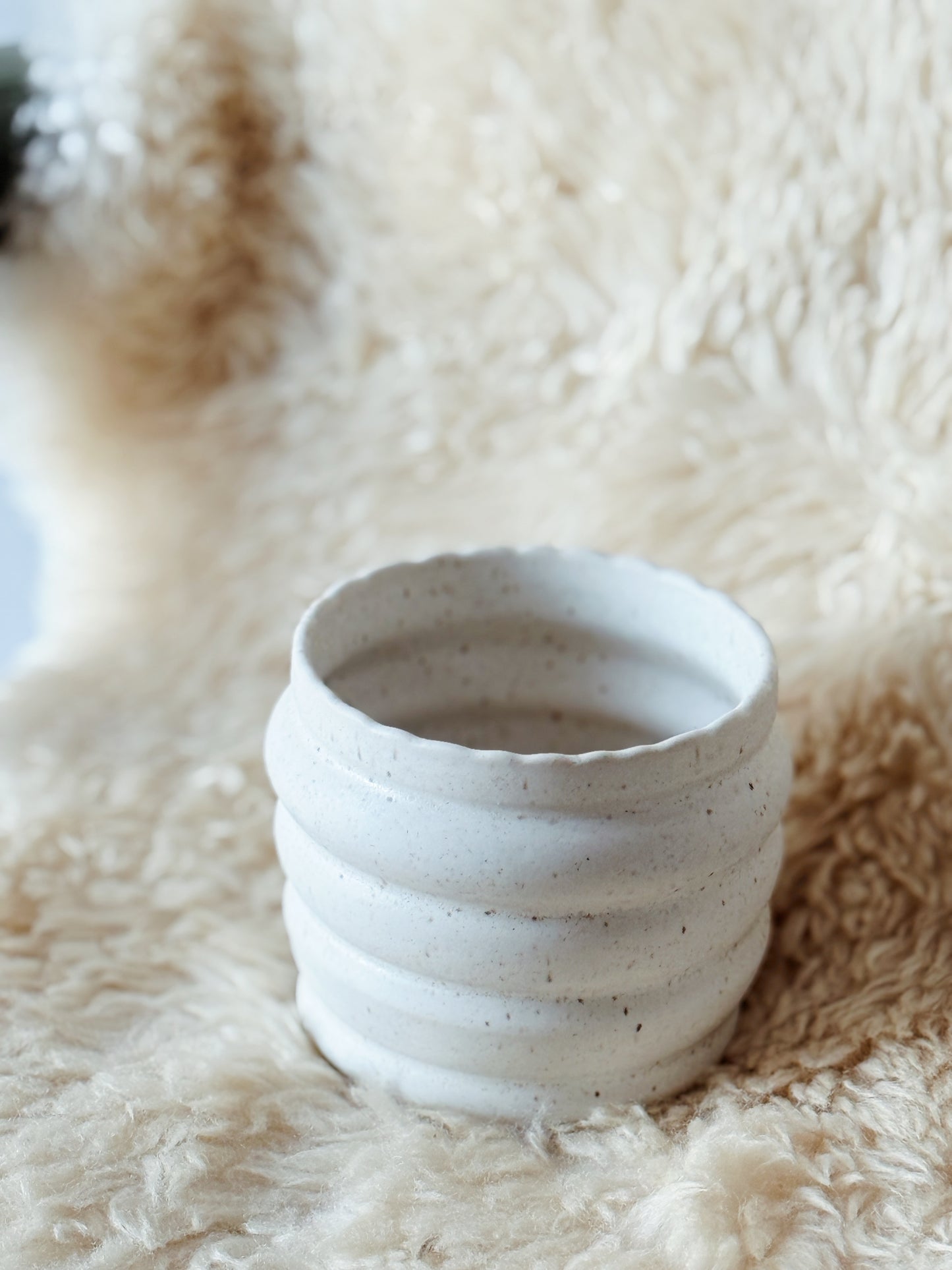 Bubble Planter | 02