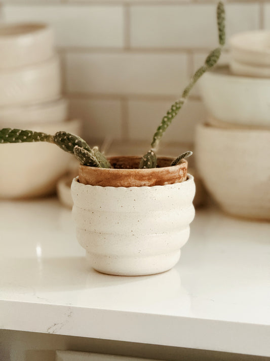 No. 18 | Bubble Planter